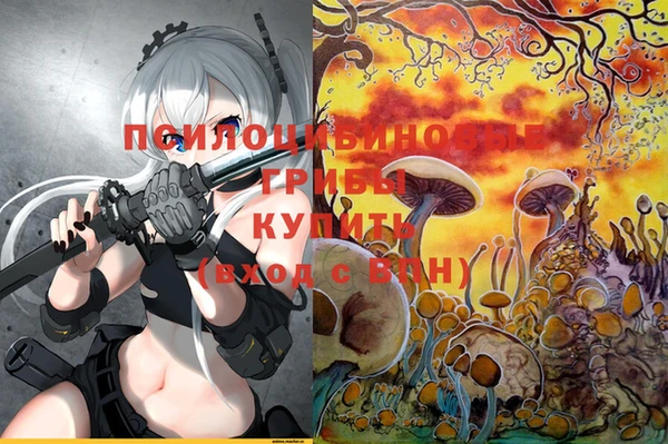 дурь Новозыбков