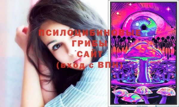 дурь Новозыбков