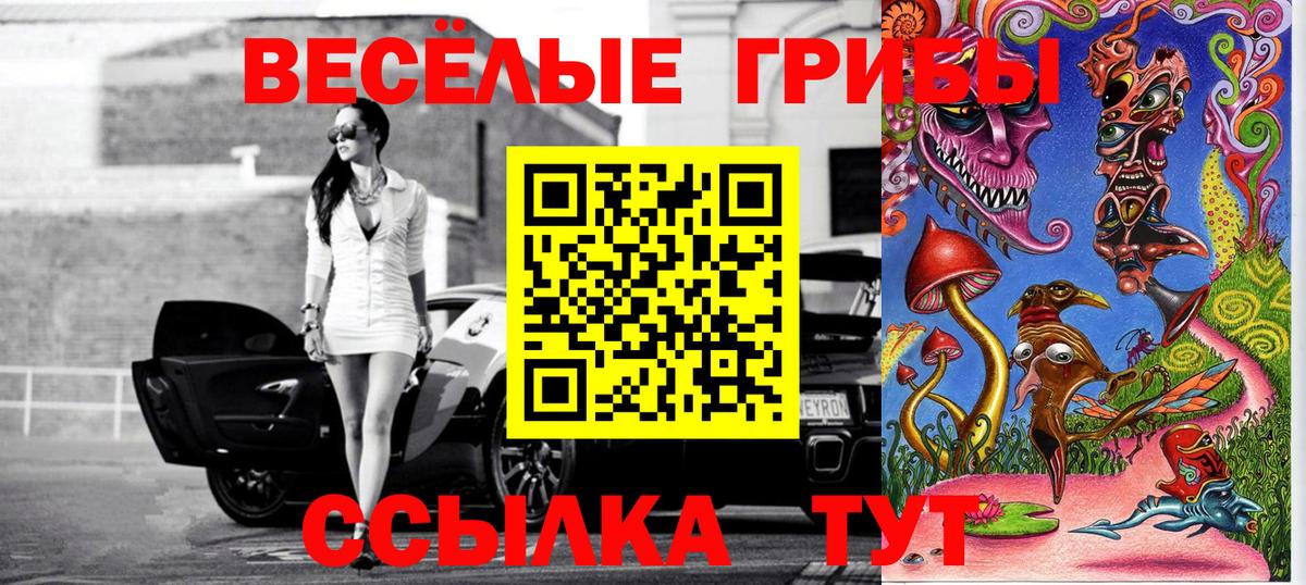 Псилоцибиновые грибы Cubensis Губкинский