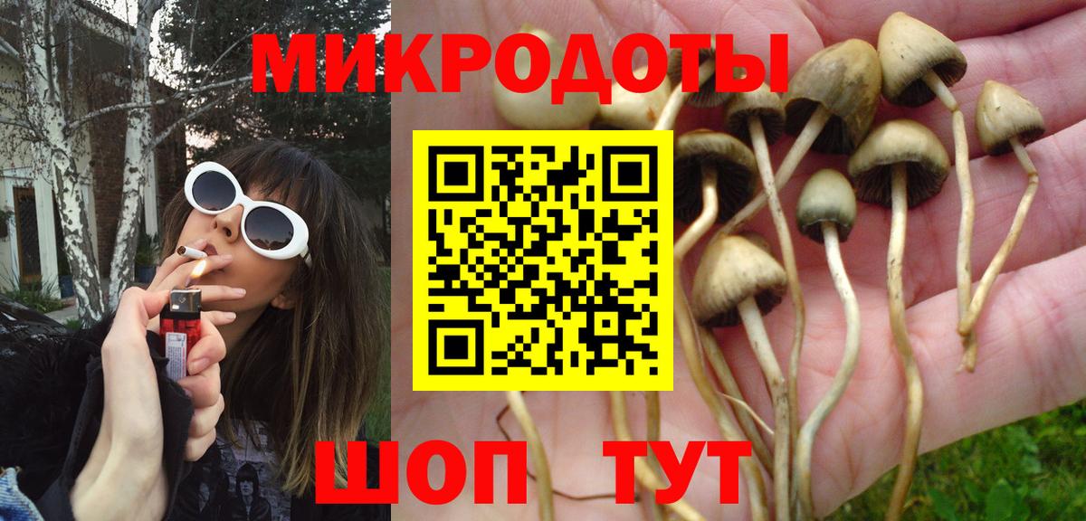 Губкинский  где продают наркотики  Вход с VPN  Галлюциногенные грибы мухоморы 